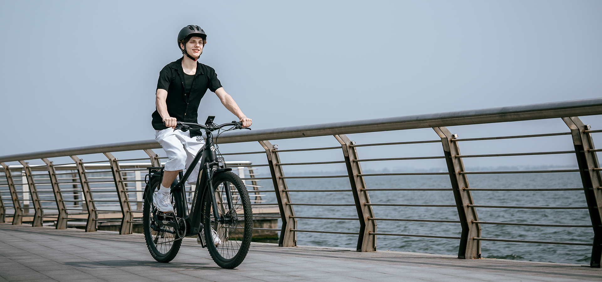 PHOENIX 電動自転車 凤凰锂电